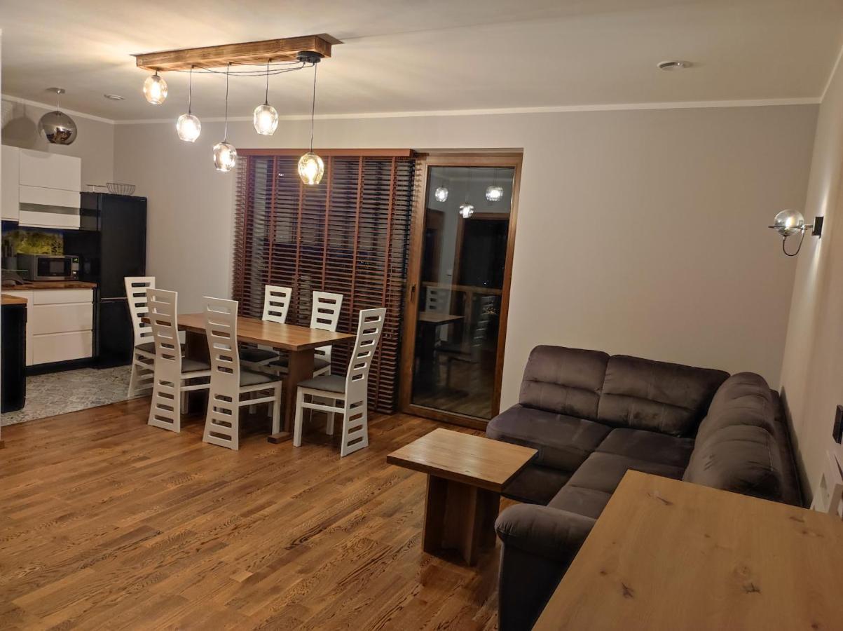 Czarna GóraIzby Pod Litwinka别墅 外观 照片